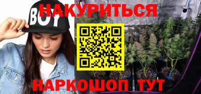 Альфа ПВП Гатчина