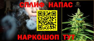 сатива Гагарин