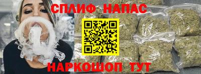 Альфа ПВП Гатчина
