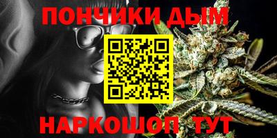 сатива Гагарин