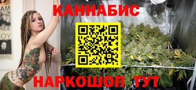 Альфа ПВП Гатчина